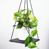 2014年巴西世界杯德国对阵阿根廷决赛精彩镜头